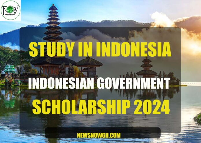 Indonesian Government scholarships