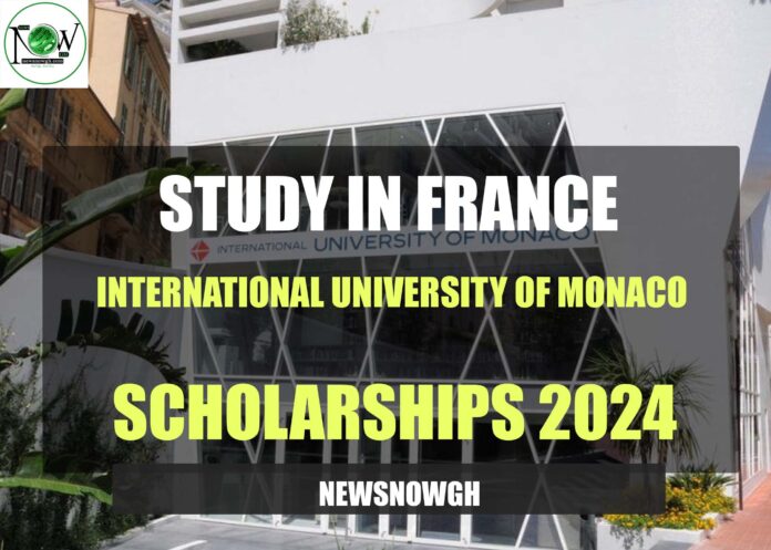 International University of Monaco scholarships