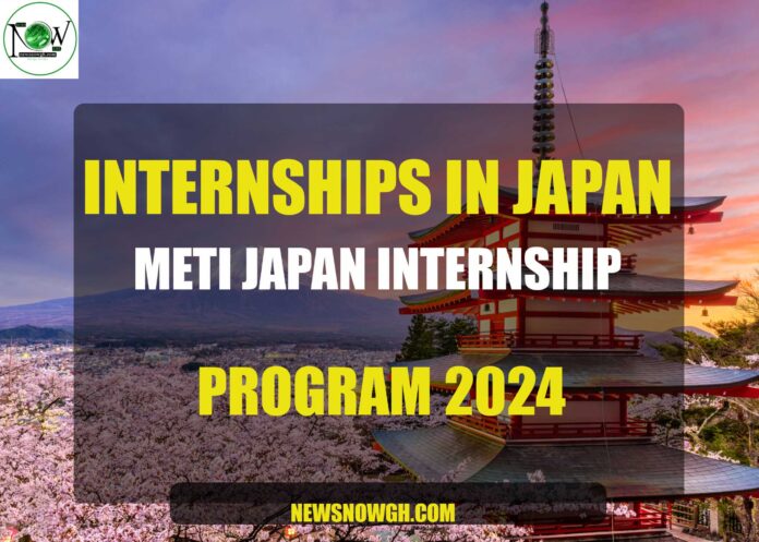 METI Japan Internship
