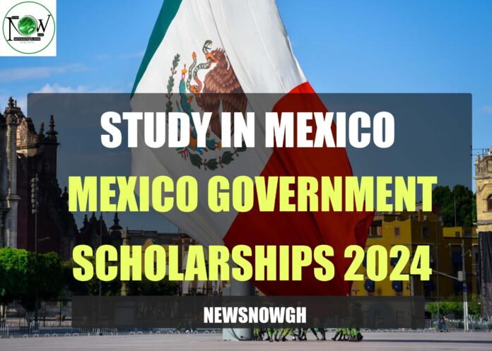 Mexico Government scholarships