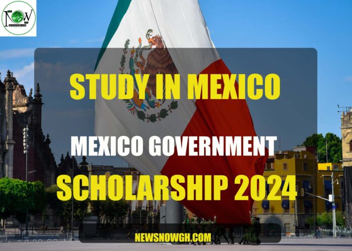 Mexico Government scholarships