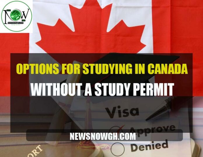Options for studying in Canada without a study permit
