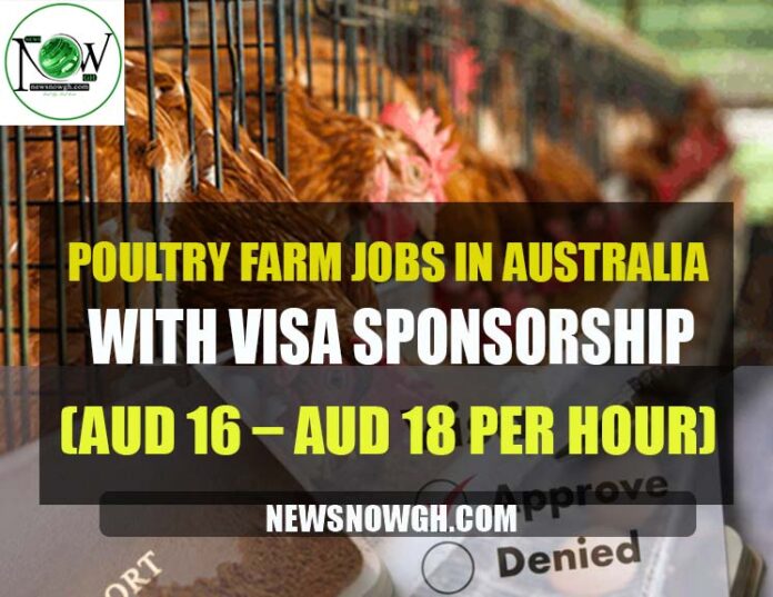 Poultry Farm Jobs in Australia