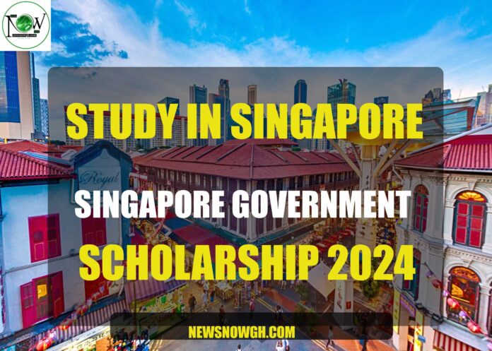 Singapore Government scholarships