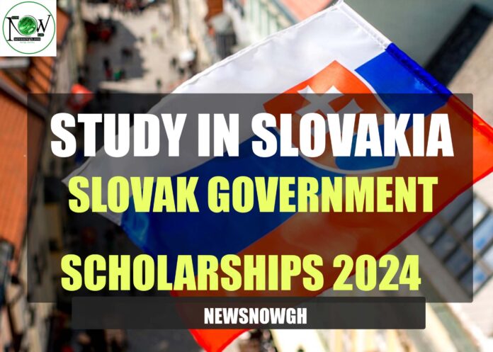 Slovak Government scholarships