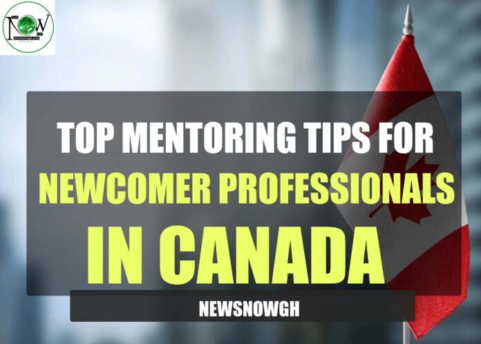 Mentoring Tips for Professionals in Canada