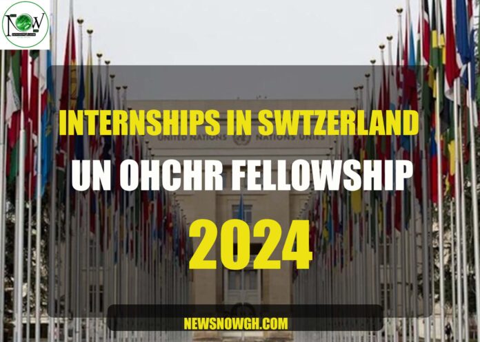 UN OHCHR Fellowship