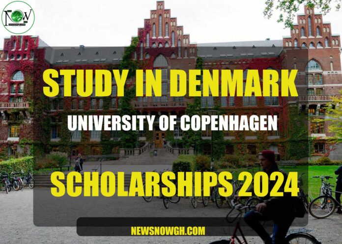 University Of Copenhagen scholarships