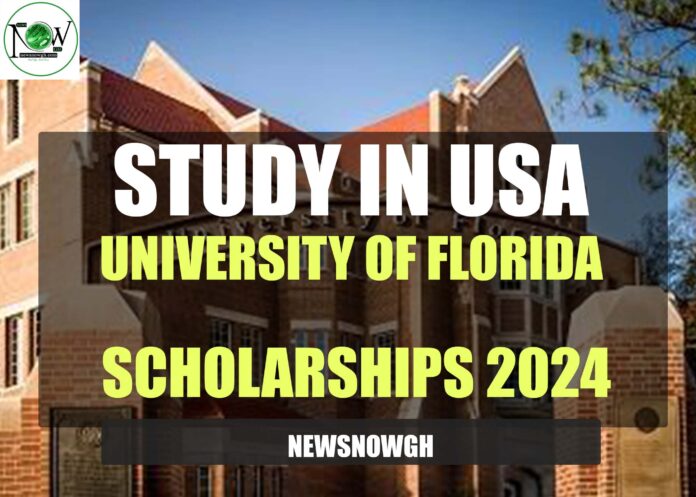 University of Florida scholarships