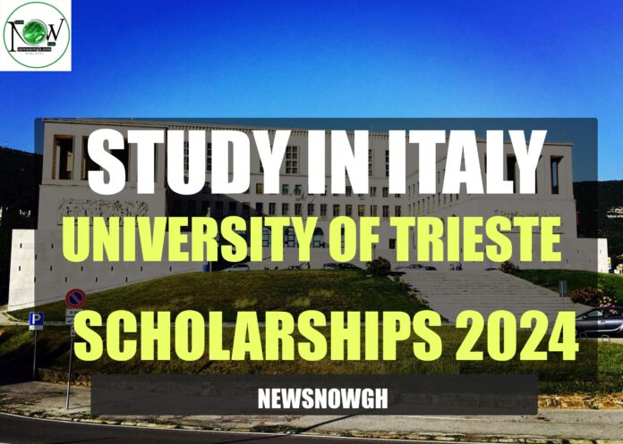 University of Trieste scholarships