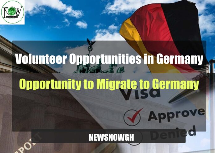 Volunteer Opportunities in Germany