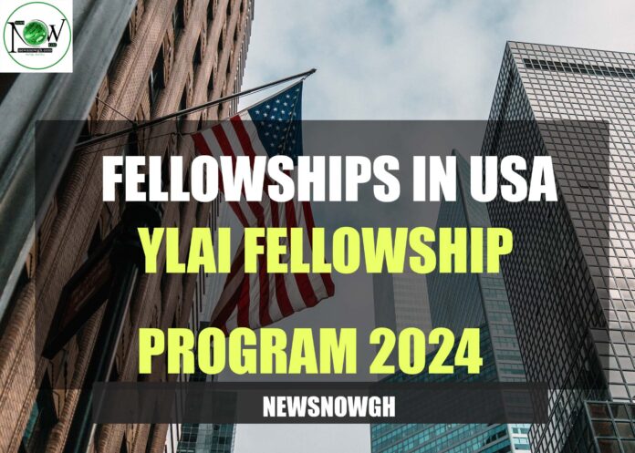 YLAI Fellowship program