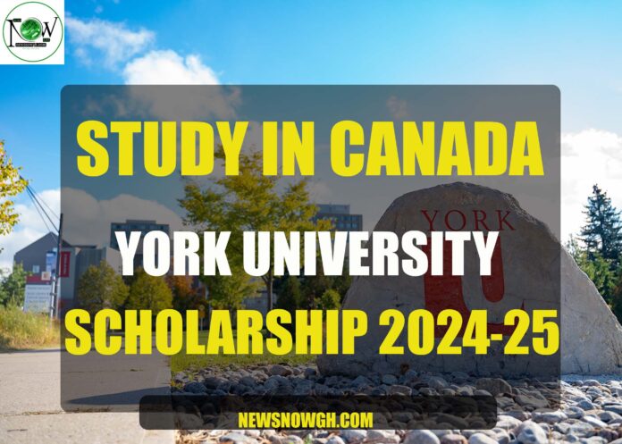 York University scholarships