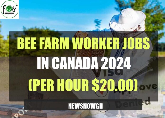 Bee Farm Worker Jobs in Canada