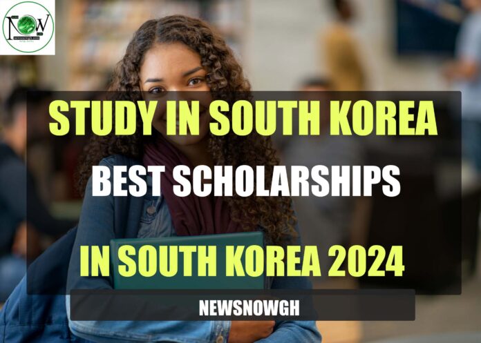 Best Scholarships in South Korea