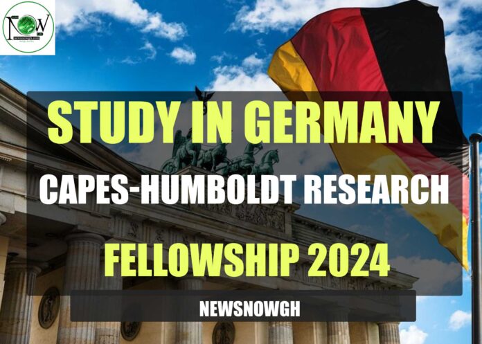 CAPES-Humboldt Research Fellowship