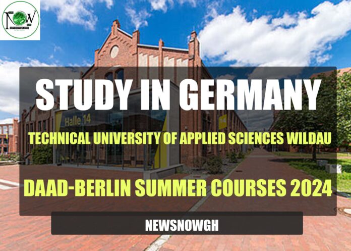 DAAD-Berlin Summer Courses