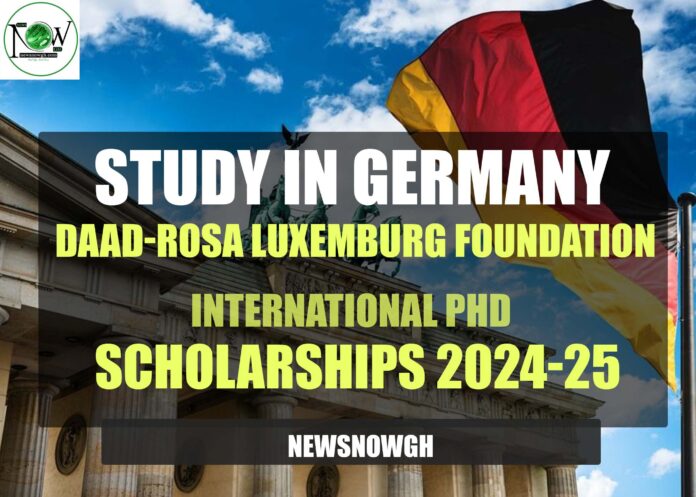 DAAD-Rosa Luxemburg Foundation International PhD Scholarships