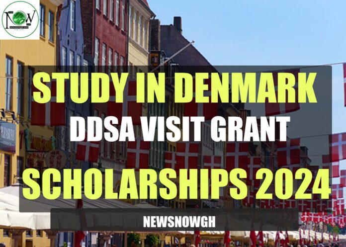 DDSA Visit Grant Scholarships