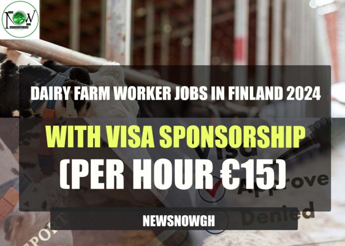 Dairy Farm Worker Jobs in Finland