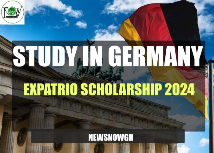 Expatrio Scholarship 2024