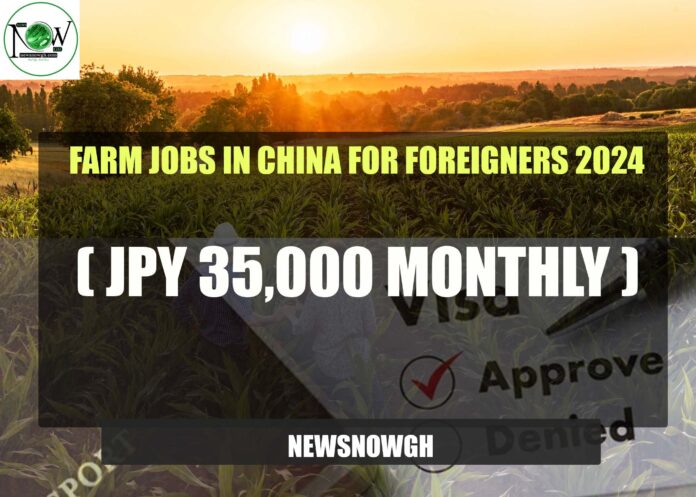 Farm Jobs in China for Foreigners
