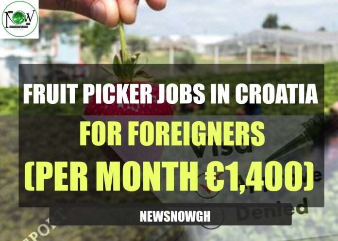Fruit Picker Jobs in Croatia
