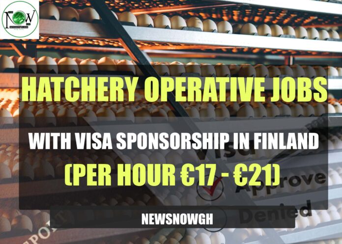 Hatchery Operative Jobs with Visa Sponsorship in Finland