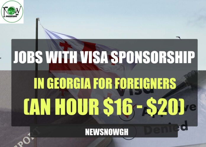Jobs with Visa Sponsorship in Georgia Jobs with Visa Sponsorship in Georgia