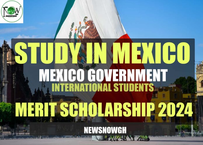 Mexico Government International Students Merit Scholarships