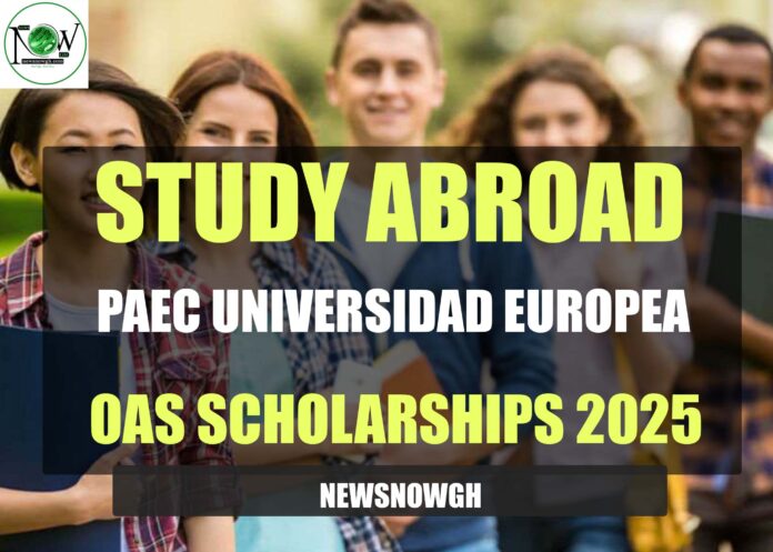 PAEC Universidad Europea OAS Scholarships