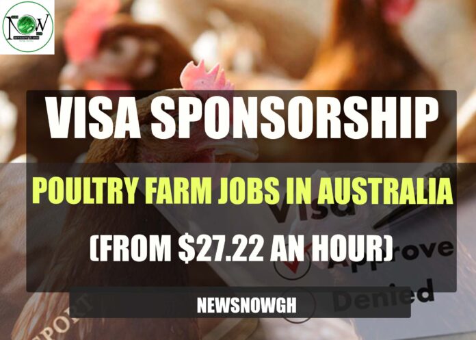 Poultry Farm Jobs in Australia
