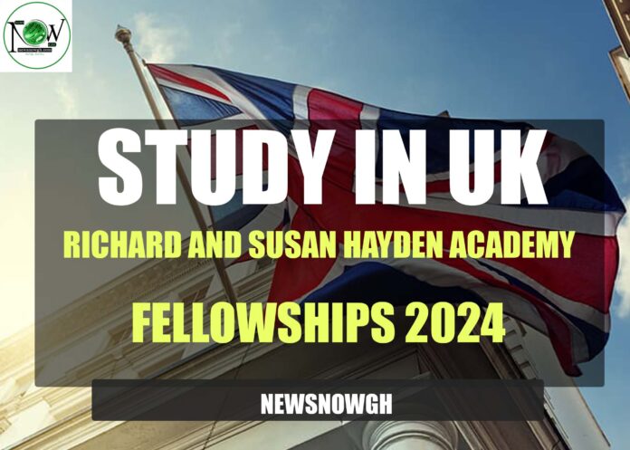 Richard and Susan Hayden Academy Fellowships