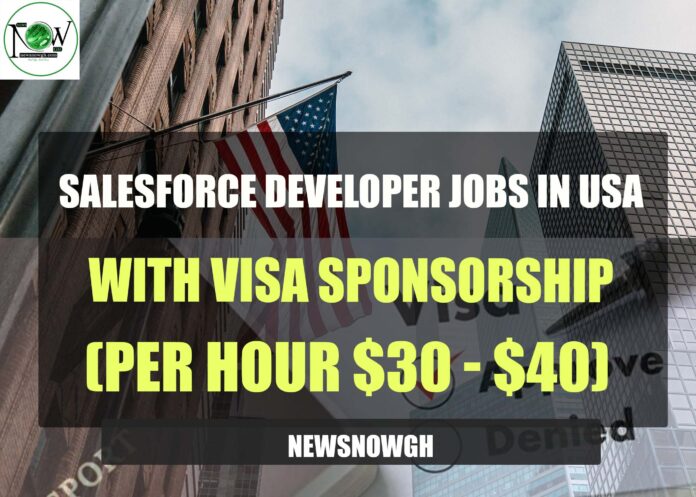 Salesforce Developer Jobs in USA