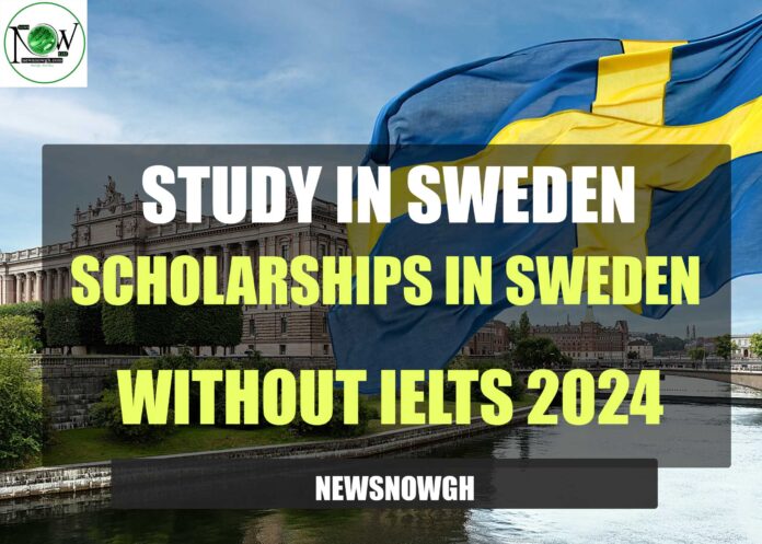 Scholarships in Sweden Without IELTS