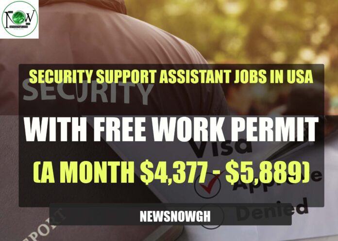 Security Support Assistant Jobs in USA