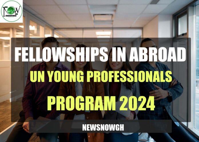 UN Young Professionals Program