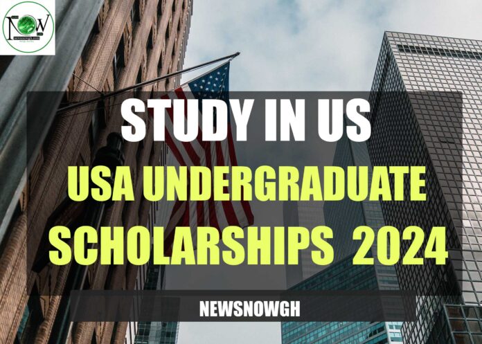 USA Undergraduate Scholarships