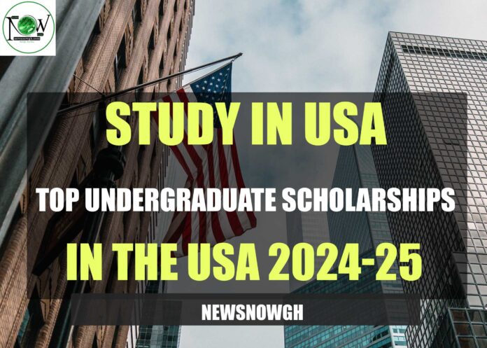 Undergraduate Scholarships in the USA