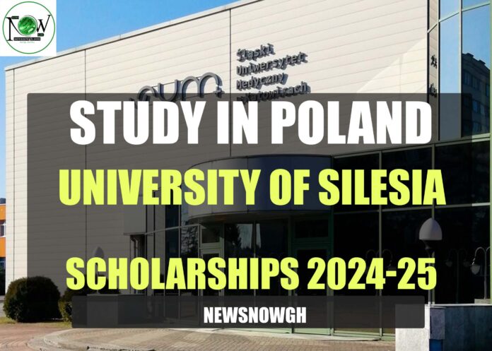 University of Silesia scholarships