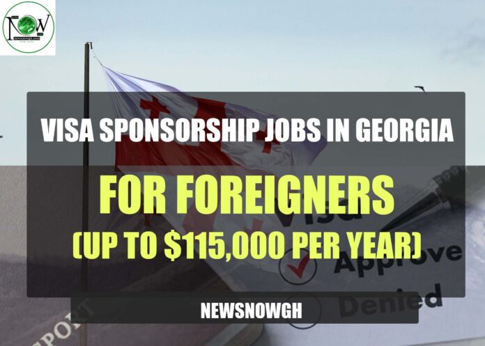 Visa Sponsorship Jobs in Georgia for Foreigners