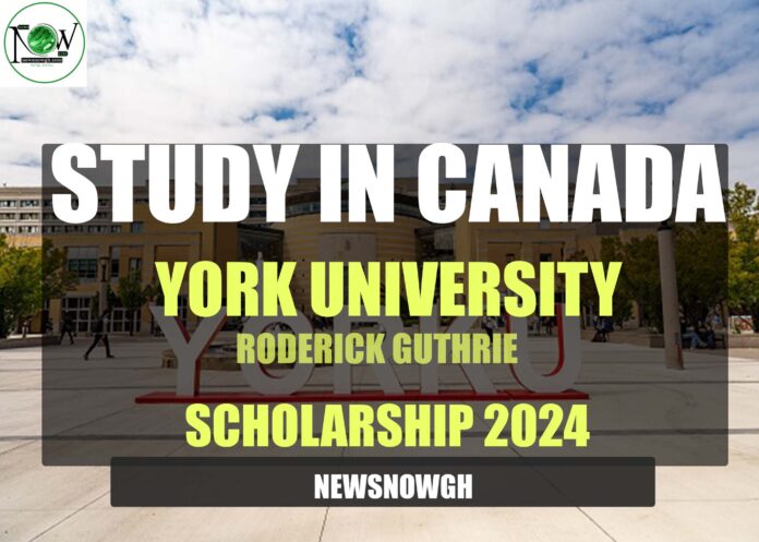 York University scholarship