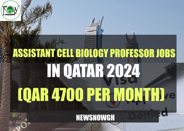 Assistant Cell Biology Professor Jobs in Qata