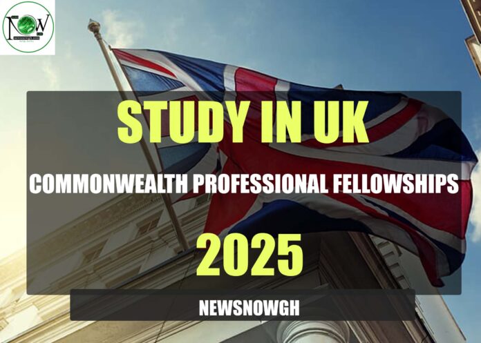 Commonwealth Professional Fellowships