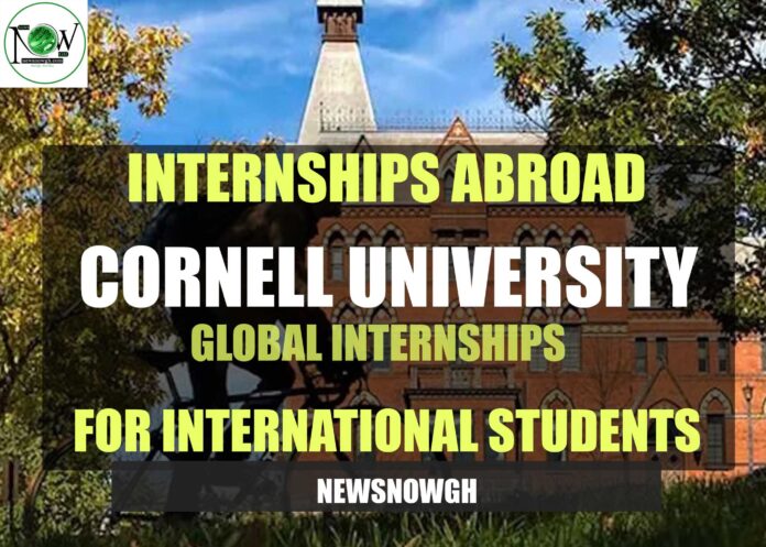 Cornell University Global Internships