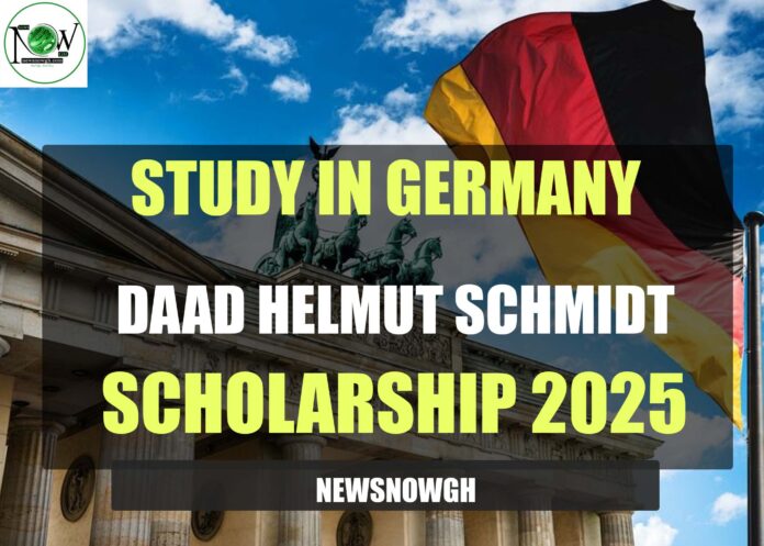 DAAD Helmut Schmidt Scholarships