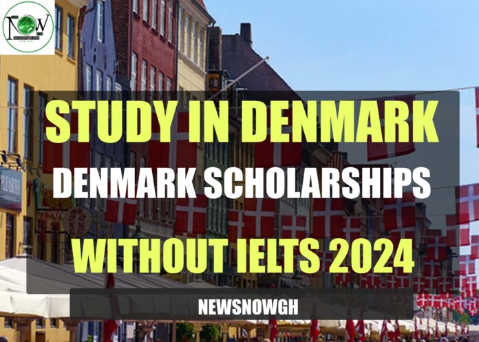 Denmark Scholarships Without IELTS