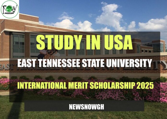 East Tennessee State University Merit Scholarship