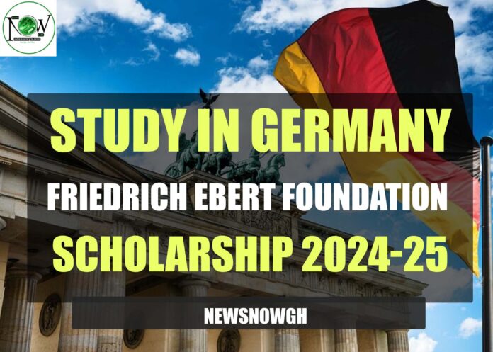 Friedrich Ebert Foundation Scholarship
