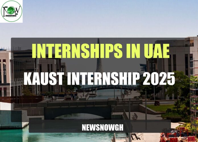 KAUST Internship 2025